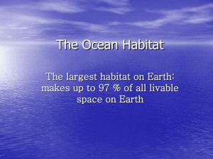 The Ocean Habitat