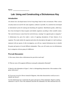Dichotomous Key lab
