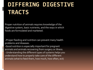 Differing Digestive tracts PPT