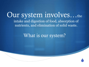 Our system involves*the intake, digestion of food