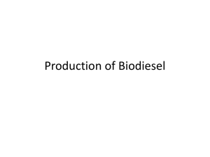 Production of Biodiesel