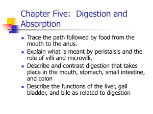 NORMAL NUTRITION NURP 102 ANDERSON