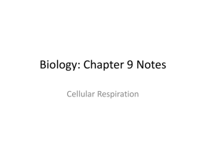 Biology: Chapter 9 Notes