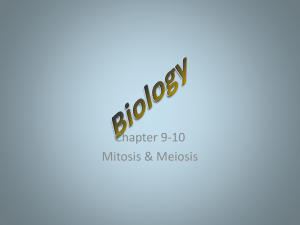 Mitosis- Meiosis Notes Chapter 9-10