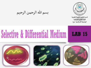 Lab.15 Selective and Differential media