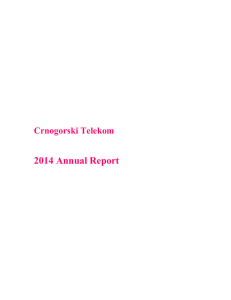 Management report - Crnogorski Telekom