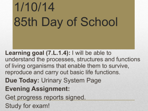 Due Today