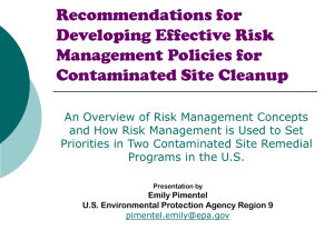 Recommendations for Developing Effective Risk Management