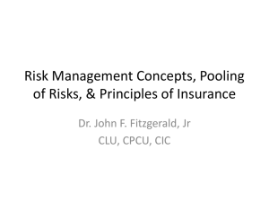 Risk Management Concepts, Basic Principles, Fitzgerald