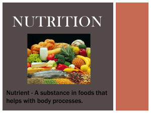 Nutrients PowerPoint