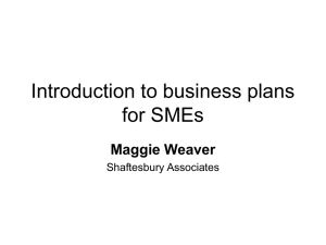 Introduction to business plans for SMEs