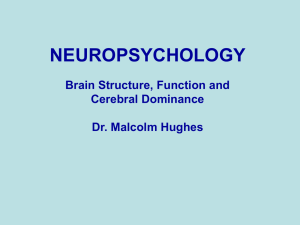NEUROPSYCHOLOGY Concepts and applications
