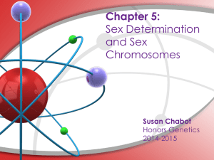 Chapter 5: Sex Determination and Sex
