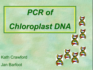 Plant PCR - Science and Plants for Schools