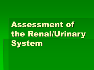 11 Assessment of the renalurinary system