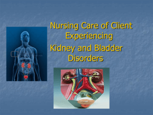 Class_10_AO_N405_Kidney_and_Bladder_Disorders_ppt