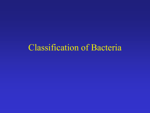Bacterial Taxonomy