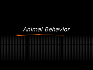 Animal Behavior What is behavior?
