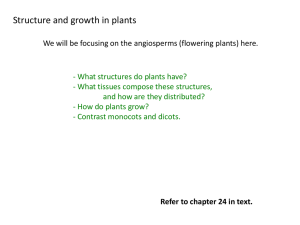 21 structure and growth.pdf