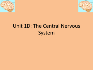 Unit 1D The CNS - Chadwick School | Haiku Learning
