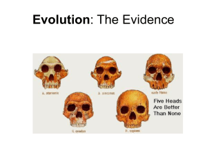 Evolution or “Change over Time”