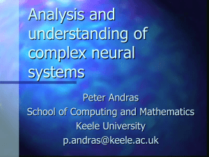 Analysis and Understanding of Complex Neural Systems