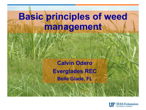 Basic Principles of Weed Management