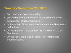 The Cell Membrane Homeostasis