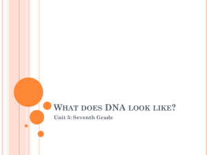 What does DNA look like? Unit 5: Seventh Grade