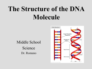 dna_pp