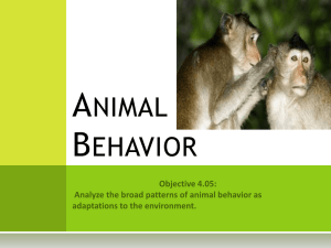 Animal Behavior - HalkuffBiology