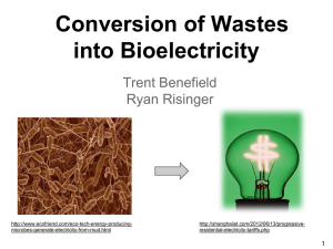 Conversion of Wastes into Bioelectricity