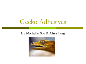 Gecko Adhesives