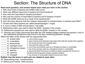 DNA Unit Practice Questions and In