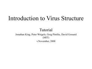 Introduction to Virus Structure