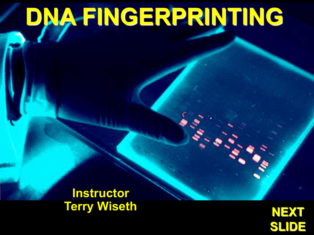case study on dna fingerprinting