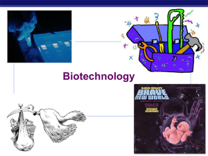 Chapter 20 Biotechnology