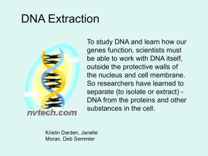 DNA Extraction Presentation