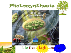 Photosynthesis - Madison Public Schools