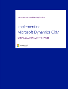 09 Scoping Assessment Report CRM