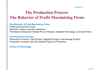 The Production Process: The Behavior of Profit