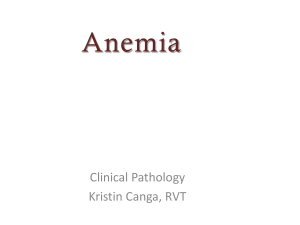 Anemia - Ms. Canga's page