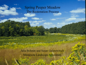 The Lasting Value of Restoration: A Case Study by the Minnesota