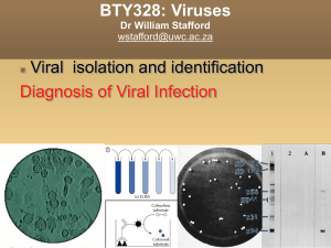 BTY328: Viruses