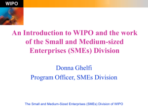 The Small and Medium-Sized Enterprises (SMEs) Division of WIPO