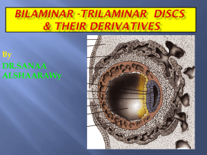 Bilaminarand trilaminar discs[1]