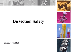 Dissection saftey