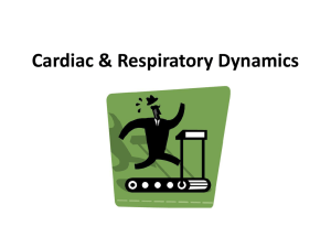 Cardiac & Respiratory Dynamics - CHOW