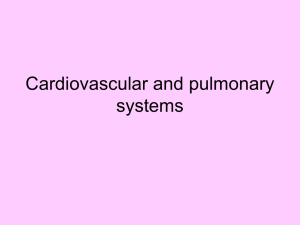 CV and pulmonary