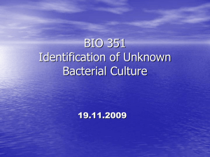 BIO 351 Microbiology Lab